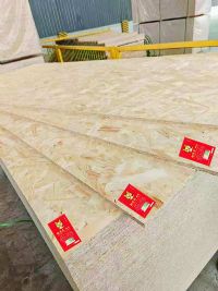 甄芯龙牌欧松板2