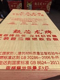 甄芯龙阻燃板