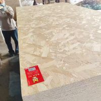 甄芯龙牌阻燃板